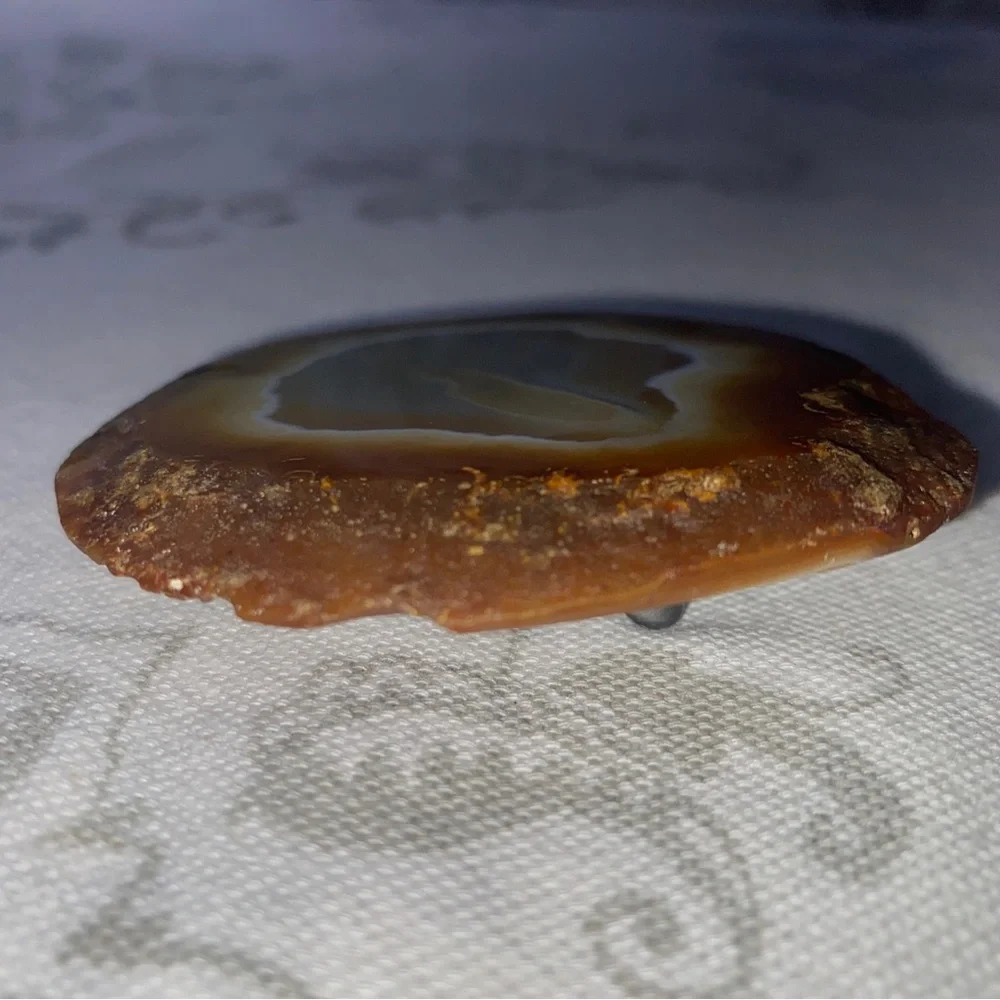 Vintage Agate slice Belt Buckle by Gunther Lapidary Western Cowboy Rodeo‎